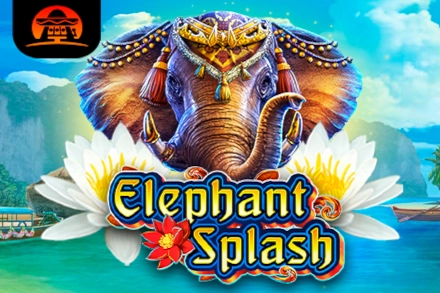 00417 elephant splash