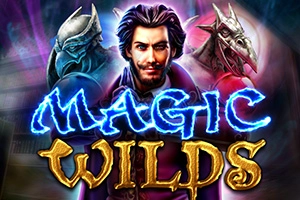 19211 magic wilds